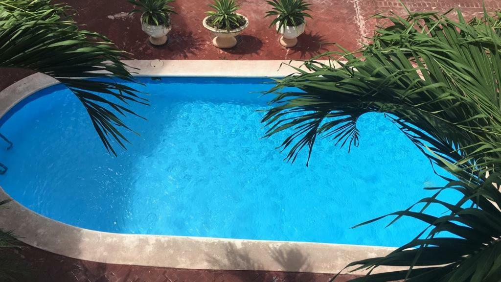 Arcoiris Share Apartment Bavaro Punta Cana Exterior photo
